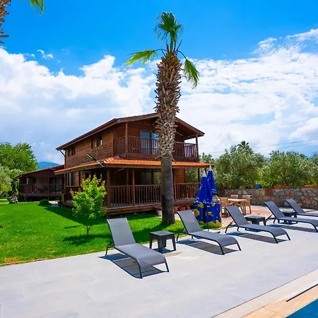 Defne Olive Gardens, Koca Calis, - Previously Defne * 페티예