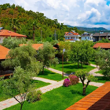 Defne Olive Gardens, Koca Calis, - Previously Defne 펜션 페티예