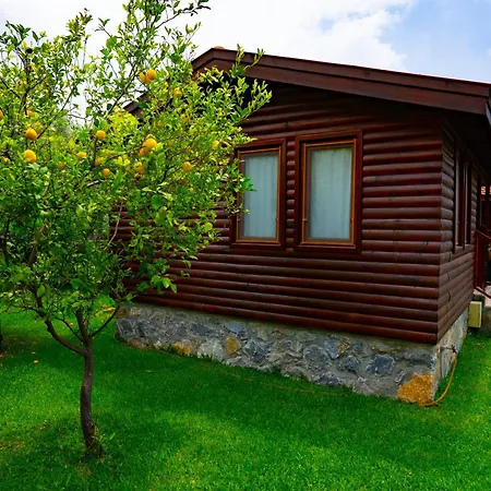 Defne Olive Gardens, Koca Calis, - Previously Defne 펜션 *