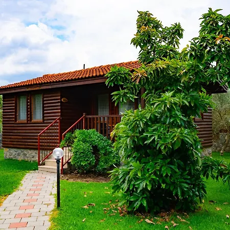 펜션 Defne Olive Gardens, Koca Calis, - Previously Defne *