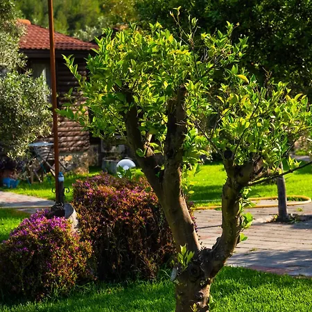 Defne Olive Gardens Дом отдыха