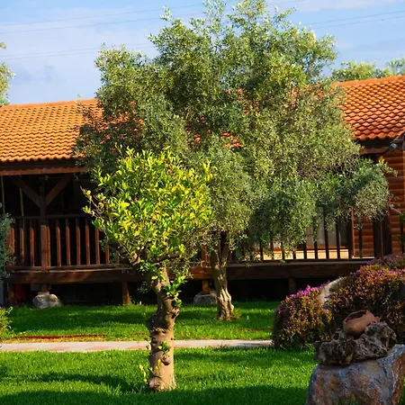 펜션 Defne Olive Gardens, Koca Calis, - Previously Defne *