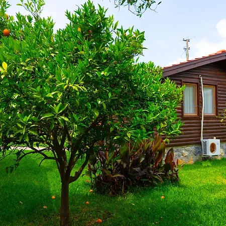 펜션 Defne Olive Gardens, Koca Calis, - Previously Defne