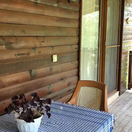 Casa vacanze Defne Olive Gardens, Koca Calis, - Previously Defne *