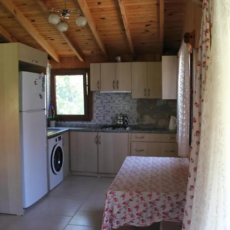Casa vacanze Defne Olive Gardens, Koca Calis, - Previously Defne