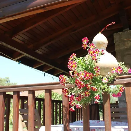 Casa vacanze Defne Olive Gardens, Koca Calis, - Previously Defne *