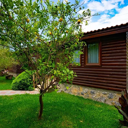Dom wakacyjny Defne Olive Gardens Fethiye