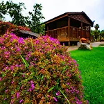 Defne Olive Gardens, Koca Calis, * Fethiye