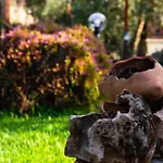 Casa de Férias Defne Olive Gardens, Koca Calis, Fethiye