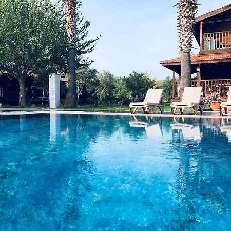 Defne Olive Gardens, Koca Calis, - Previously Defne Holiday home