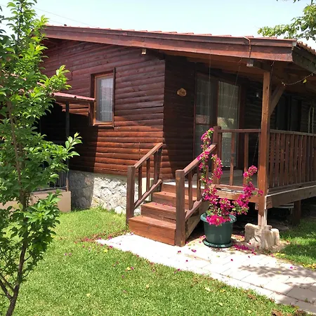 Holiday home Defne Olive Gardens, Koca Calis, - Previously Defne *