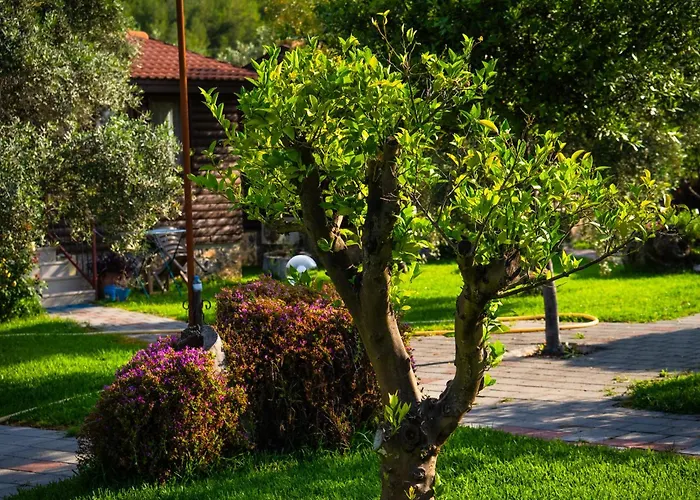 Defne Olive Gardens, Koca Calis, Hébergement de vacances