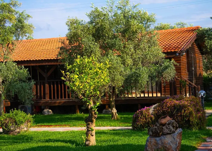 Hébergement de vacances Defne Olive Gardens, Koca Calis, *