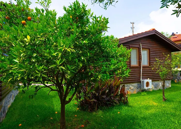 Hébergement de vacances Defne Olive Gardens, Koca Calis,