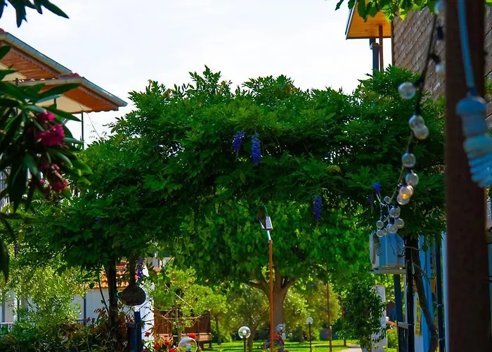 Defne Olive Gardens, Koca Calis, Hébergement de vacances Fethiye