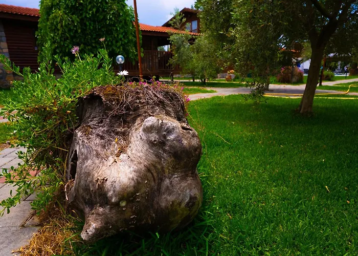 Hébergement de vacances Defne Olive Gardens, Koca Calis, *